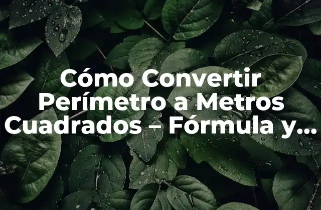 Cómo Convertir Perímetro a Metros Cuadrados – Fórmula y Ejemplos