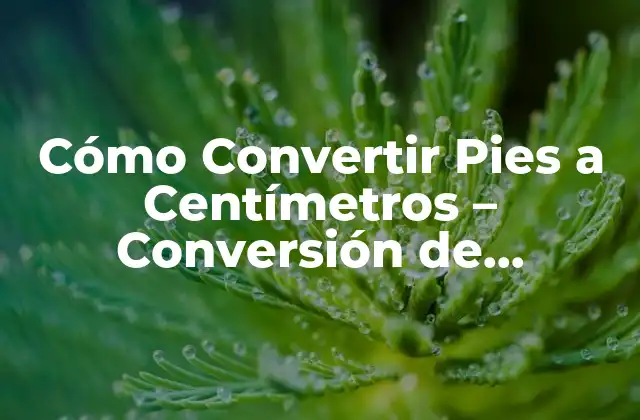 Cómo Convertir Pies a Centímetros - Conversión de Unidades de Longitud 2 ¿Cuál es la Diferencia entre Pies y Centímetros?