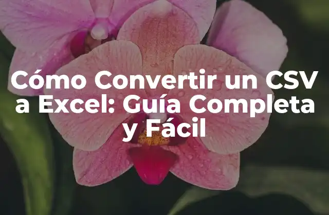 Cómo Convertir un Csv a Excel: Guía Completa y Fácil