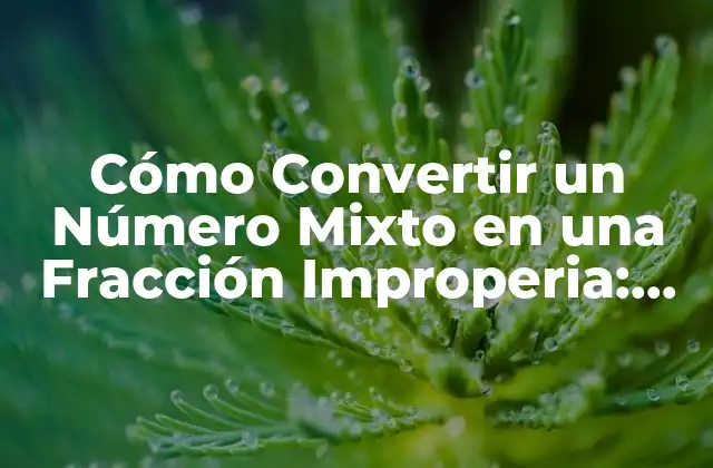 Cómo Convertir un Número Mixto en una Fracción Improperia: Guía Detallada