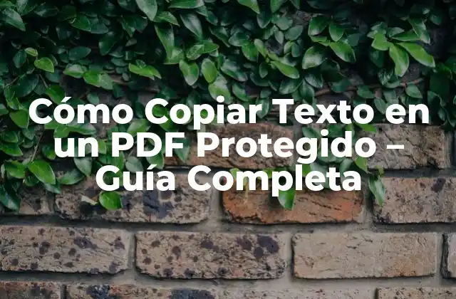 Cómo Copiar Texto en un Pdf Protegido – Guía Completa