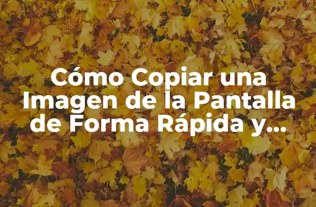 Cómo Copiar una Imagen de la Pantalla de Forma Rápida y Sencilla