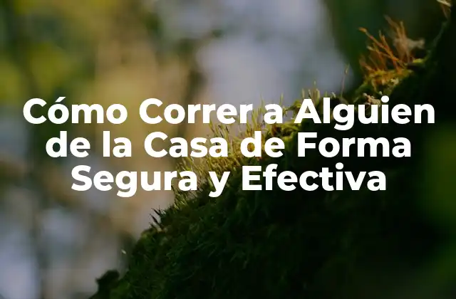 Cómo Correr a Alguien de la Casa de Forma Segura y Efectiva 2 Razones por las que Querrías Correr a Alguien de la Casa