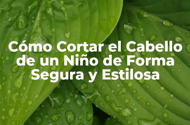 Cómo Cortar el Cabello de un Niño de Forma Segura y Estilosa