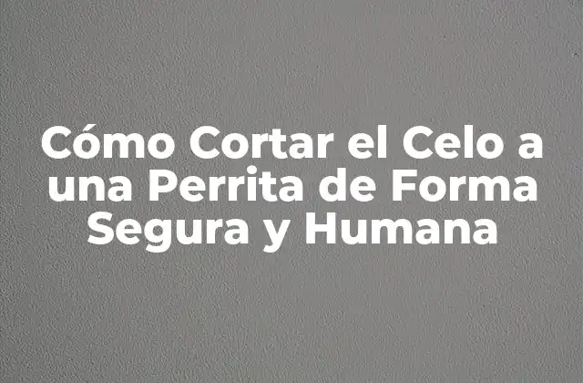 Cómo Cortar el Celo a una Perrita de Forma Segura y Humana