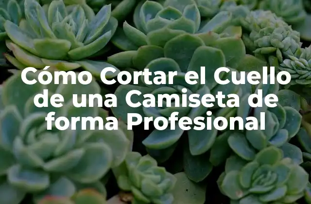 Cómo Cortar el Cuello de una Camiseta de Forma Profesional