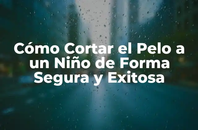 Cómo Cortar el Pelo a un Niño de Forma Segura y Exitosa