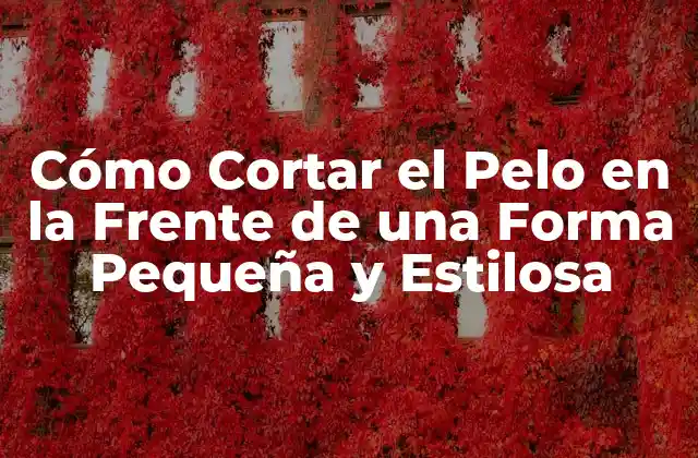 Cómo Cortar el Pelo en la Frente de una Forma Pequeña y Estilosa