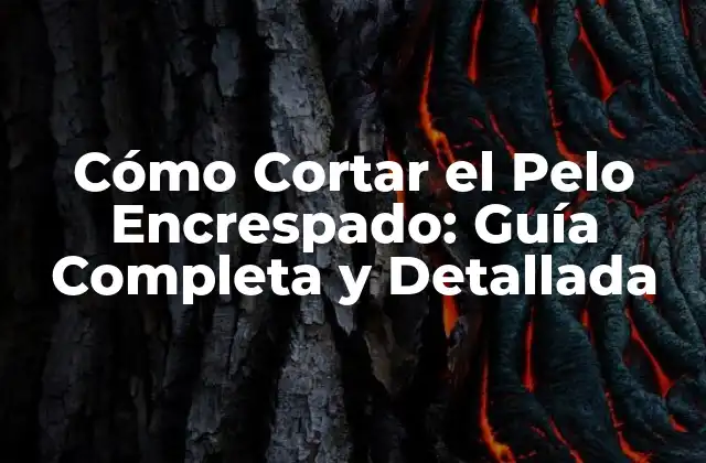 Cómo Cortar el Pelo Encrespado: Guía Completa y Detallada