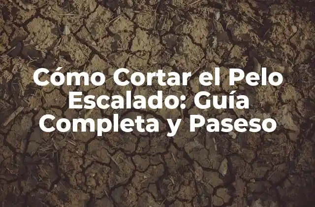 Ventajas de Cortar el Pelo Escalado