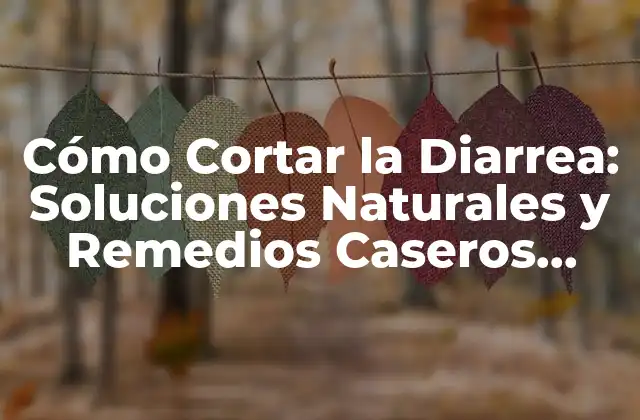 Cómo Cortar la Diarrea: Soluciones Naturales y Remedios Caseros Efectivos