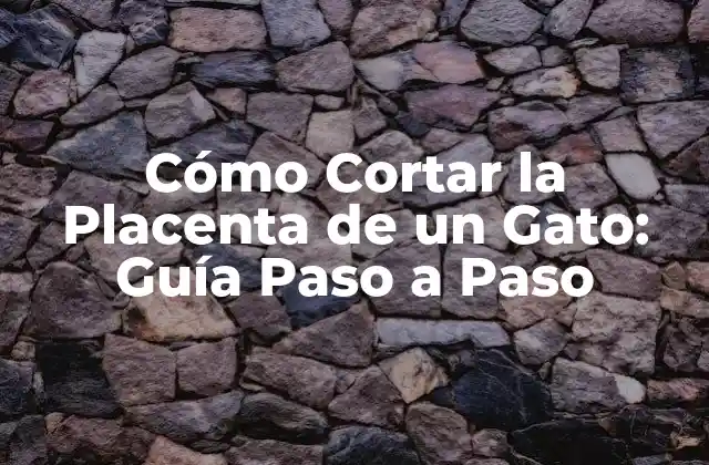 Cómo Cortar la Placenta de un Gato: Guía Paso a Paso
