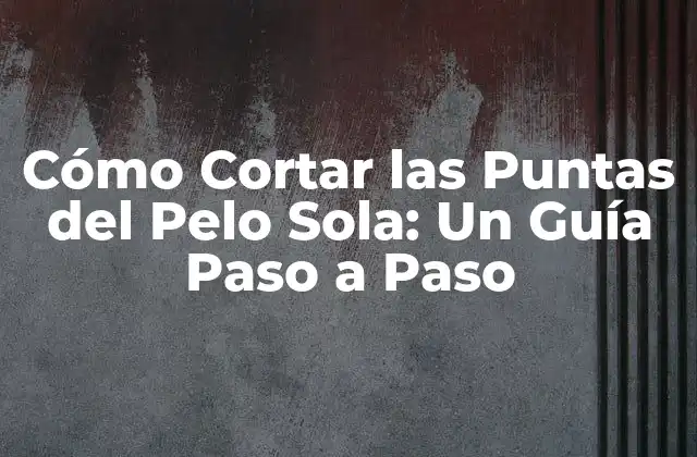 Cómo Cortar las Puntas Del Pelo Sola: un Guía Paso a Paso
