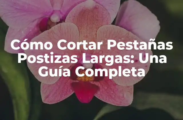 ¿Por qué Debes Cortar tus Pestañas Postizas Largas?