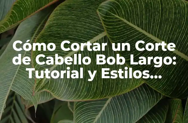 Orígenes del Corte de Cabello Bob Largo