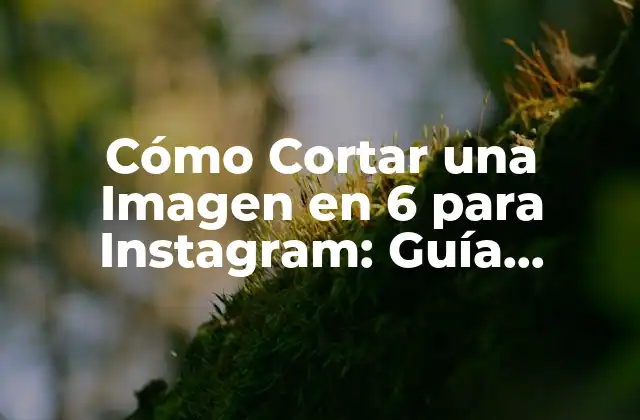 Cómo Cortar una Imagen en 6 para Instagram: Guía Detallada y Completa
