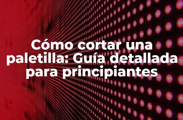 Cómo Cortar una Paletilla: Guía Detallada para Principiantes