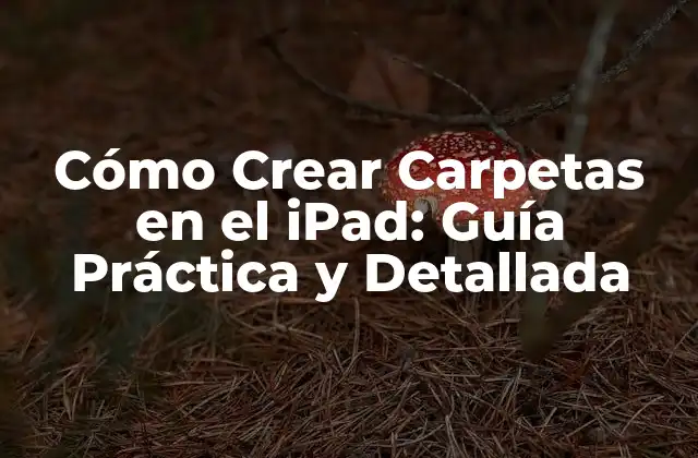 Cómo Crear Carpetas en el Ipad: Guía Práctica y Detallada