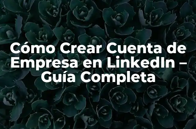 Cómo Crear Cuenta de Empresa en Linkedin – Guía Completa