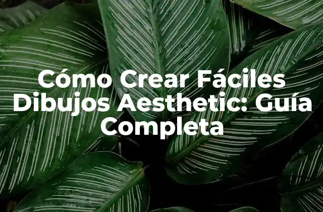 Cómo Crear Fáciles Dibujos Aesthetic: Guía Completa
