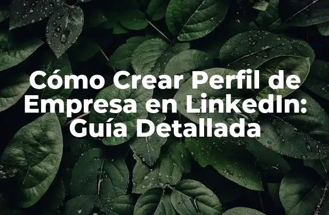 Cómo Crear Perfil de Empresa en Linkedin: Guía Detallada