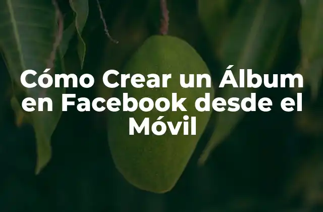 Cómo Crear un Álbum en Facebook desde el Móvil 2 ¿Por qué Crear un Álbum en Facebook?