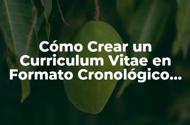 Cómo Crear un Curriculum Vitae en Formato Cronológico Efectivo