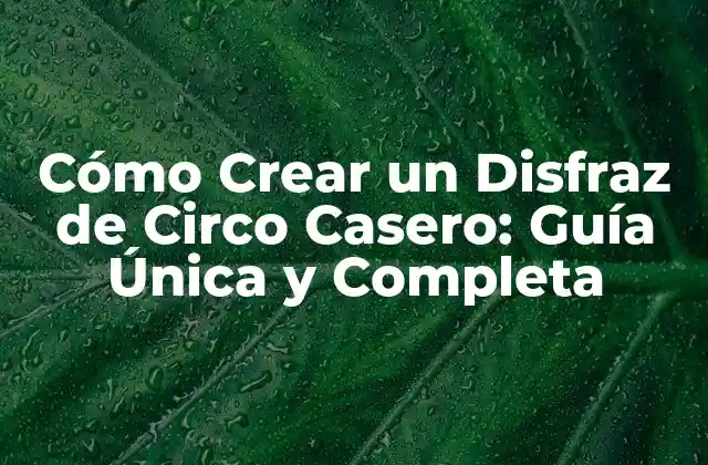 Materiales Necesarios para Crear un Disfraz de Circo Casero