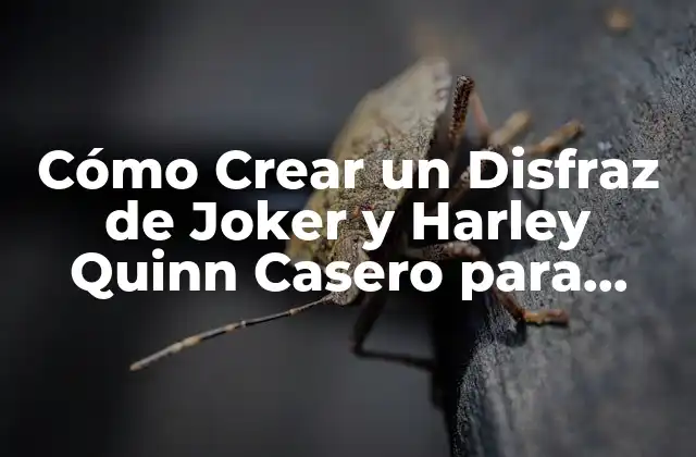 Cómo Crear un Disfraz de Joker y Harley Quinn Casero para Halloween