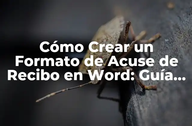 Cómo Crear un Formato de Acuse de Recibo en Word: Guía Completa