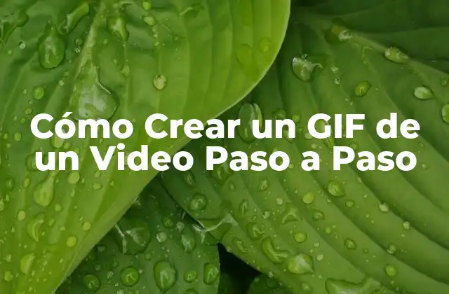 Cómo Crear un Gif de un Video Paso a Paso