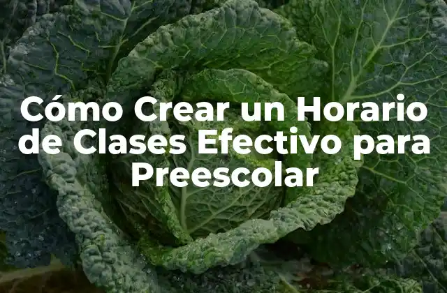 Cómo Crear un Horario de Clases Efectivo para Preescolar