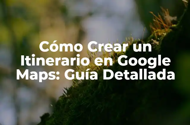 Cómo Crear un Itinerario en Google Maps: Guía Detallada