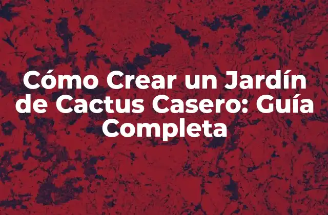 Cómo Crear un Jardín de Cactus Casero: Guía Completa