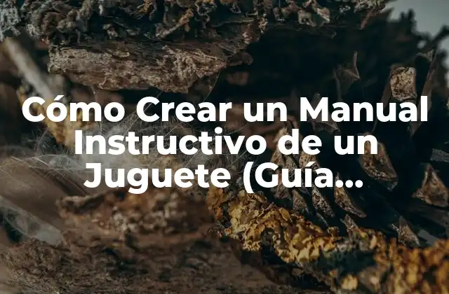 Cómo Crear un Manual Instructivo de un Juguete (guía Completa)