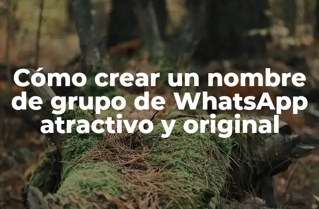 Cómo Crear un Nombre de Grupo de Whatsapp Atractivo y Original