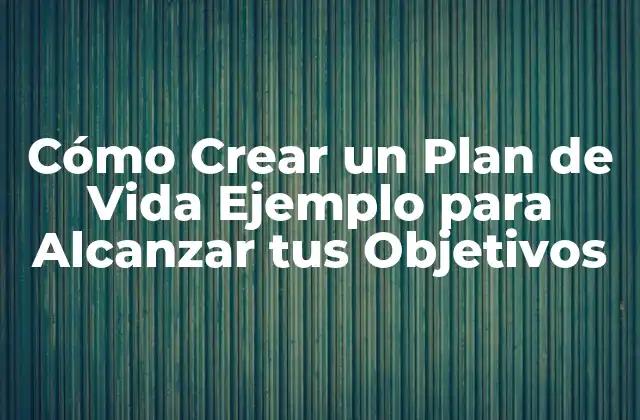 ¿Qué es un Plan de Vida?