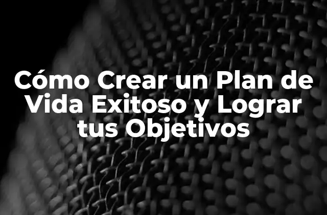 ¿Qué es un Plan de Vida y Por qué es Importante?