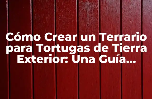 Cómo Crear un Terrario para Tortugas de Tierra Exterior: una Guía Completa