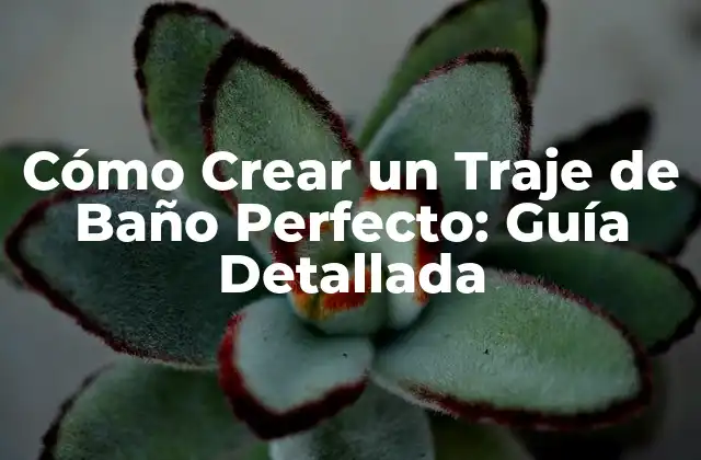 Cómo Crear un Traje de Baño Perfecto: Guía Detallada