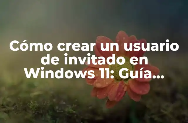 Cómo Crear un Usuario de Invitado en Windows 11: Guía Práctica y Detallada
