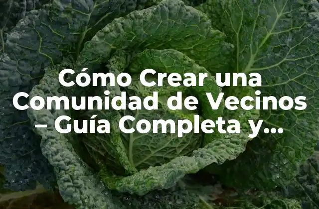 Cómo Crear una Comunidad de Vecinos – Guía Completa y Detallada