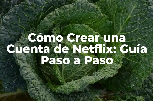 Requisitos para Crear una Cuenta de Netflix