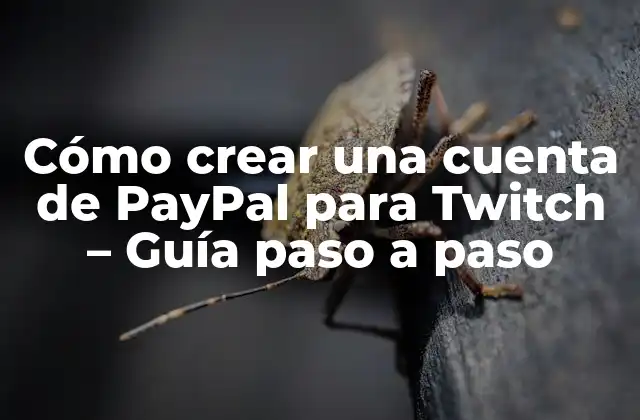 Cómo Crear una Cuenta de Paypal para Twitch – Guía Paso a Paso