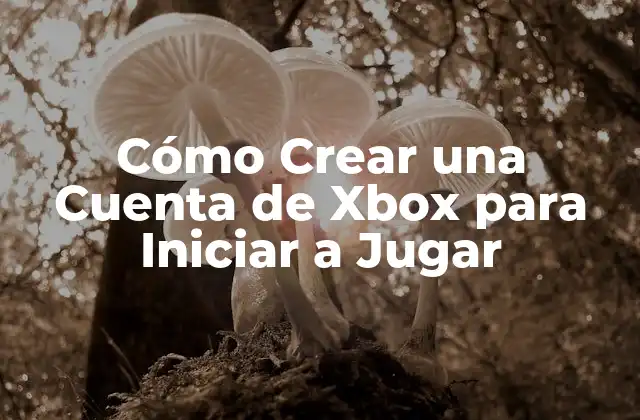 Cómo Crear una Cuenta de Xbox para Iniciar a Jugar