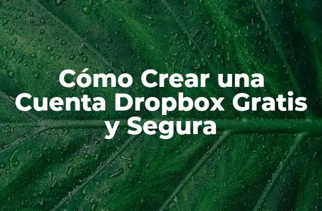 Cómo Crear una Cuenta Dropbox Gratis y Segura