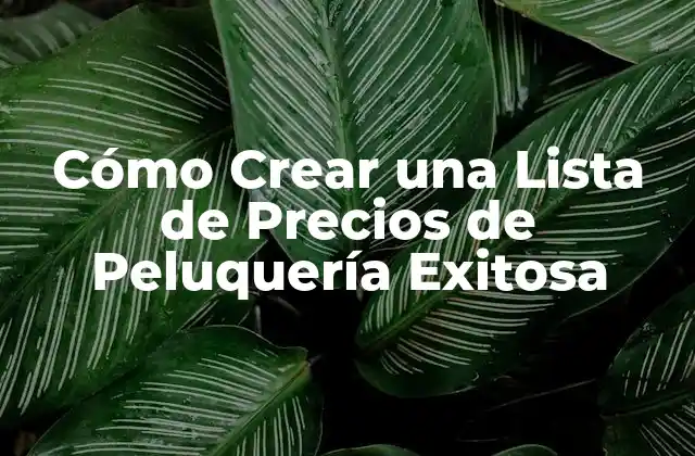 Cómo Crear una Lista de Precios de Peluquería Exitosa