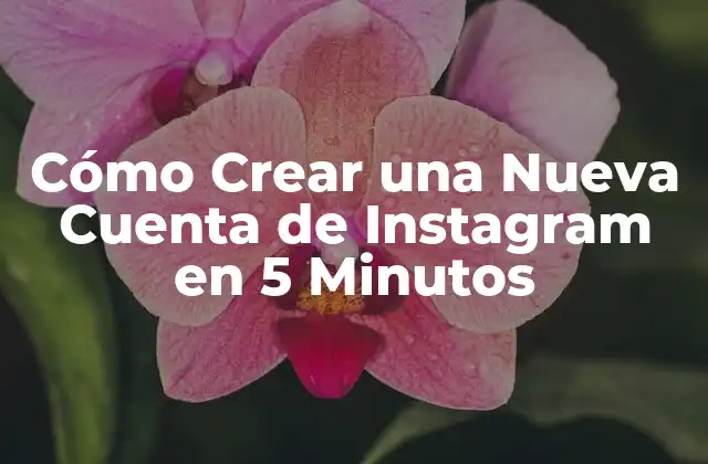 Cómo Crear una Nueva Cuenta de Instagram en 5 Minutos