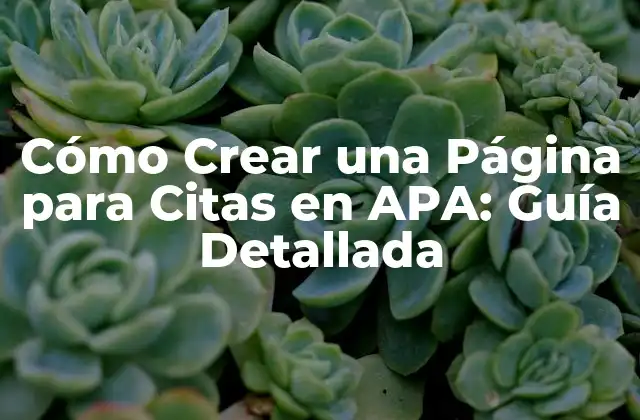 ¿Qué es una Página para Citas en APA?