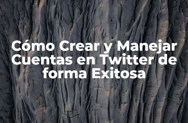 Cómo Crear y Manejar Cuentas en Twitter de Forma Exitosa 2 ¿Qué es una Cuenta en Twitter y Cómo Funciona?